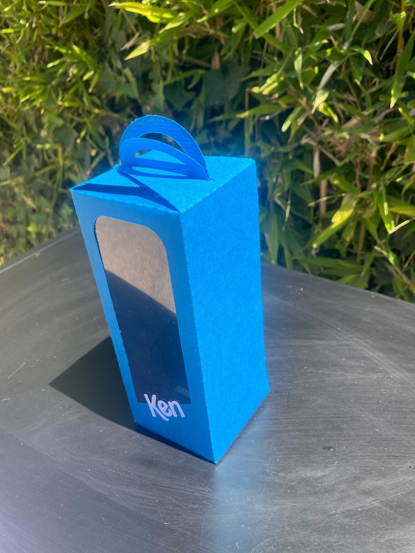 Ken Box Party Favor