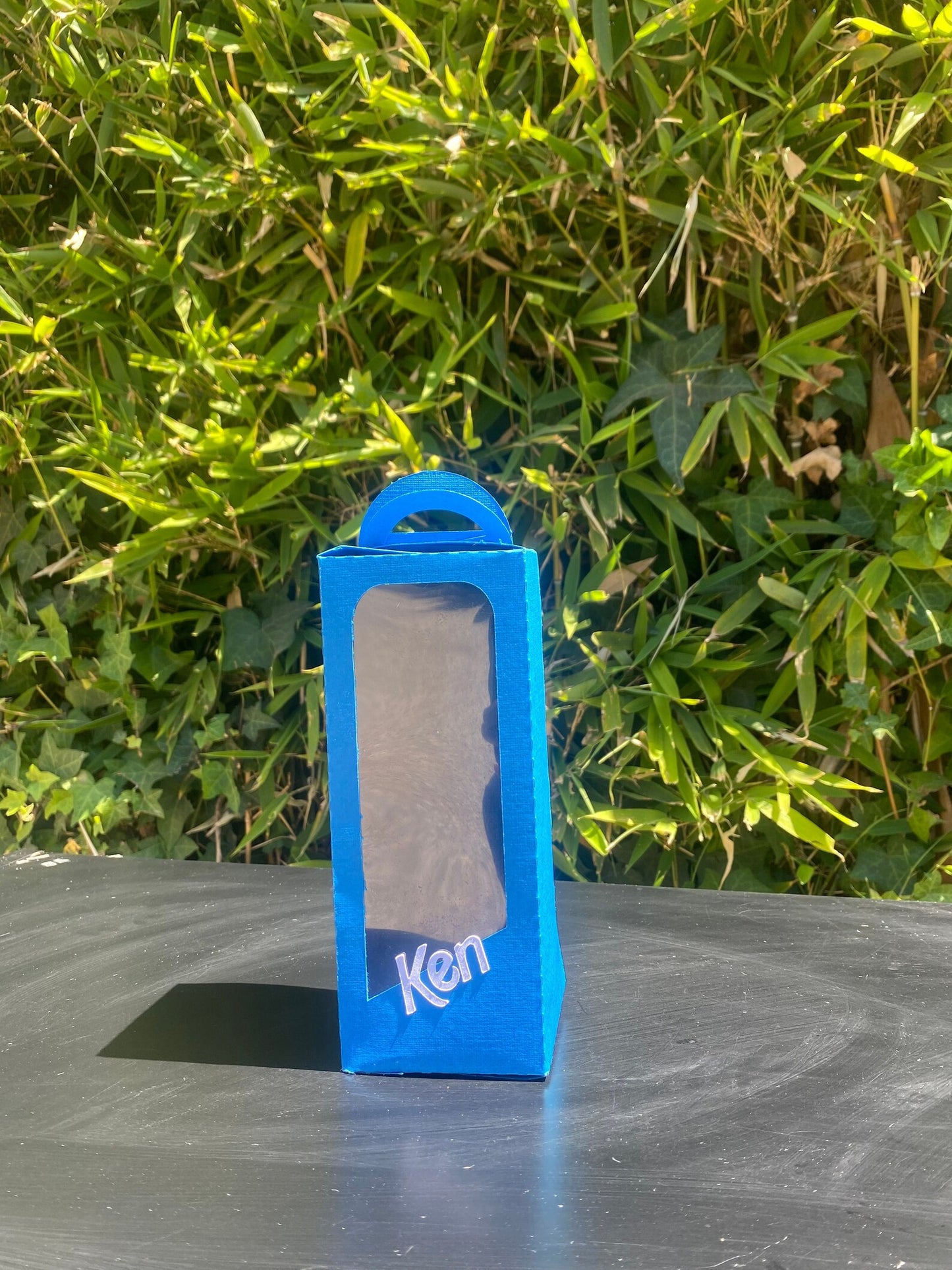 Ken Box Party Favor