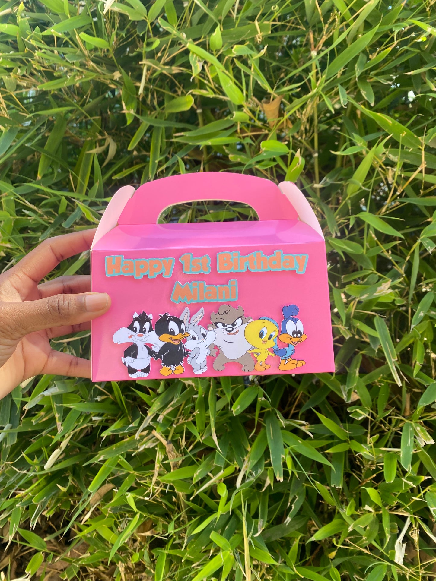 Baby Looney Tunes gable treat boxes