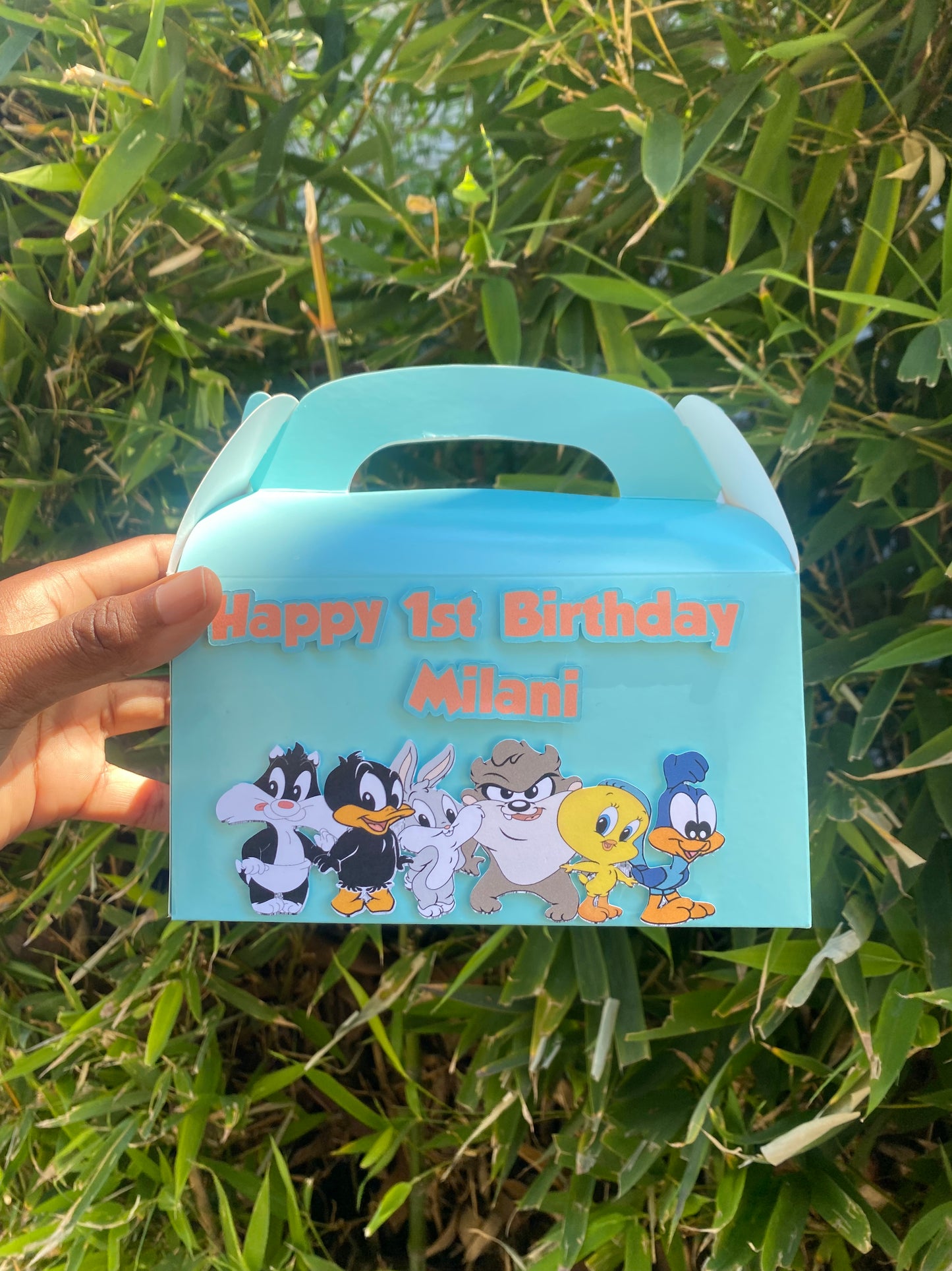 Baby Looney Tunes gable treat boxes