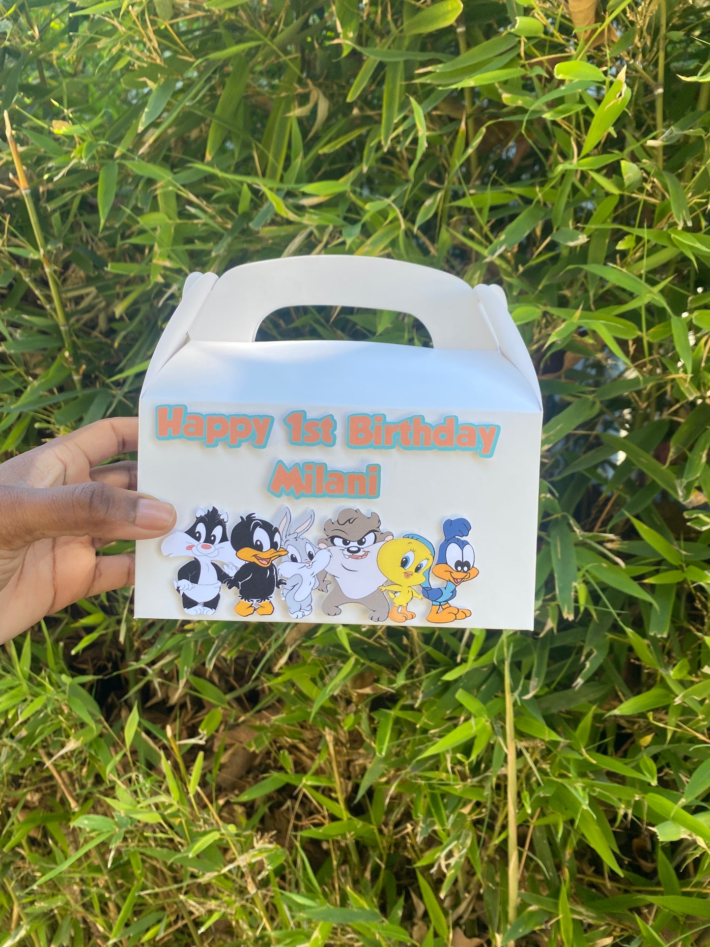 Baby Looney Tunes gable treat boxes