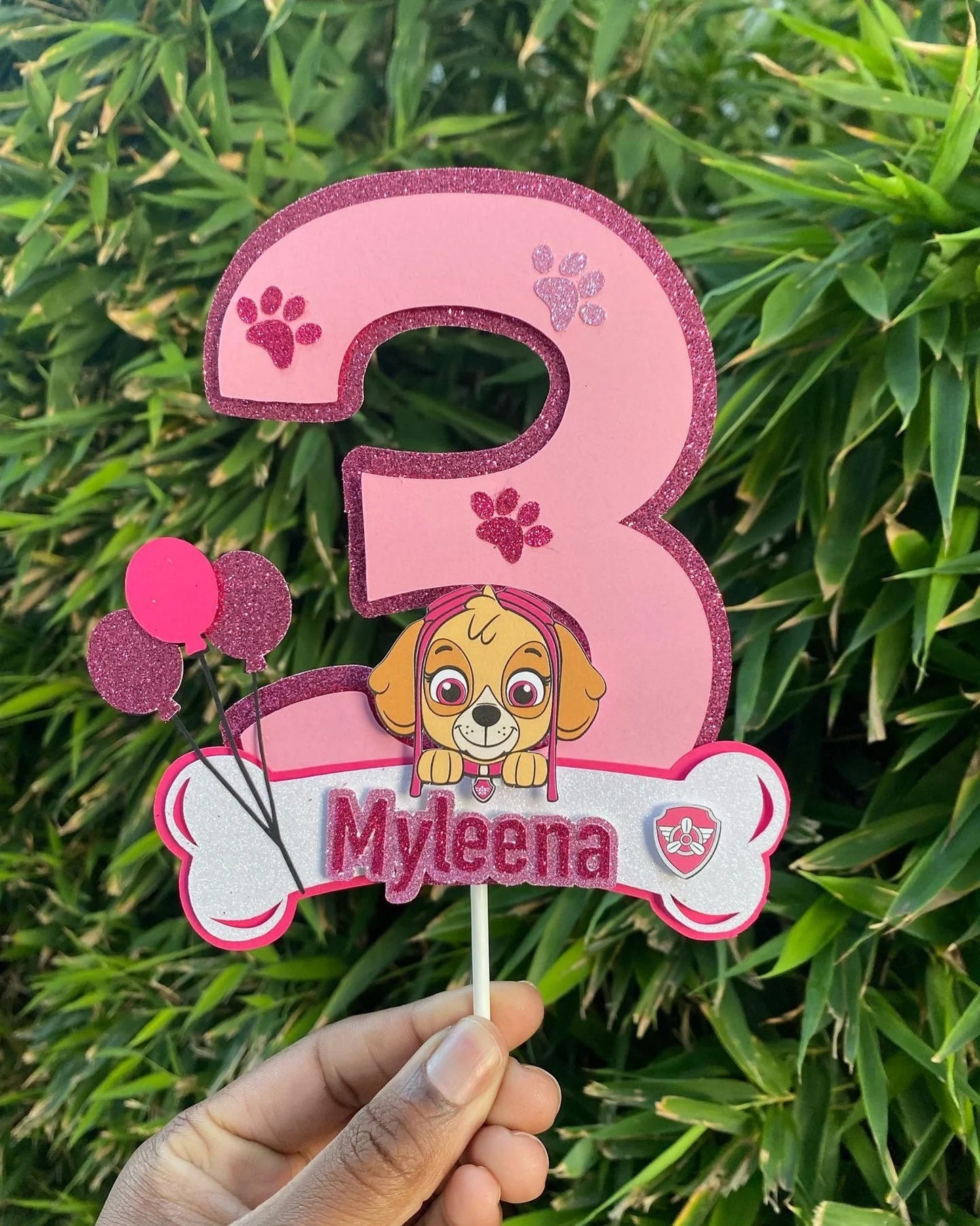 Paw Patrol Skye Cake Topper